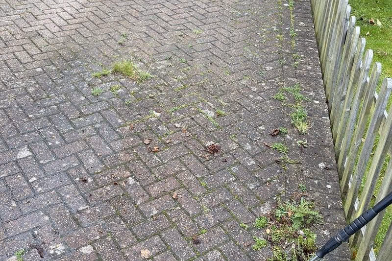 Herringbone block paved courtyard under a timber pergola, greened over with algae and with weeds and moss growing out of the joints
