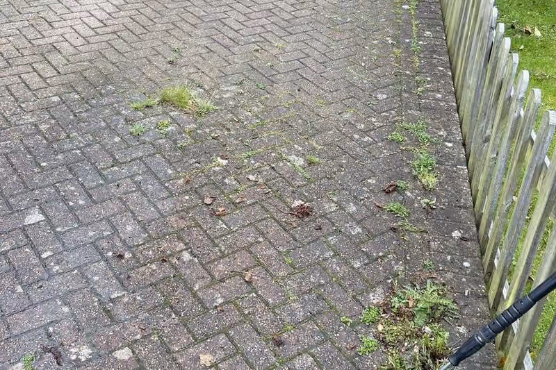Herringbone block paved courtyard under a timber pergola, greened over with algae and with weeds and moss growing out of the joints