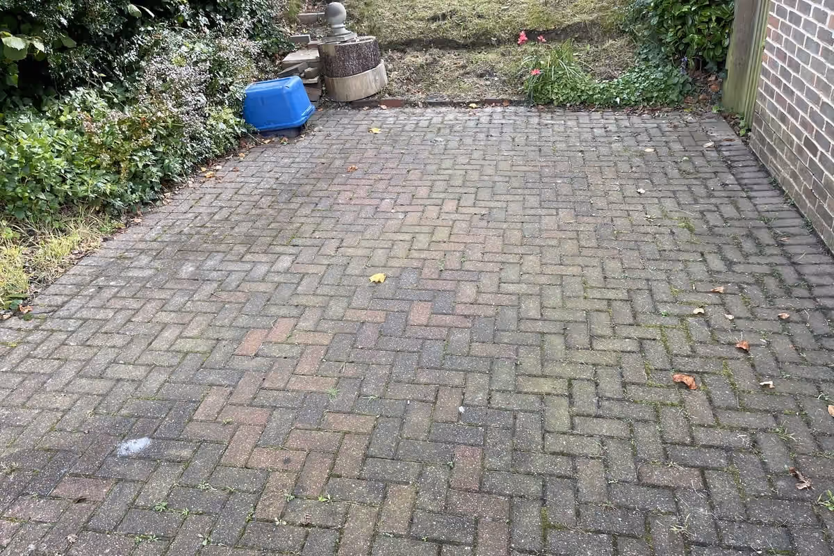 Block paving driveway with heavy green algae and moss in the joints, the red and charcoal blocks faded to a uniform grey