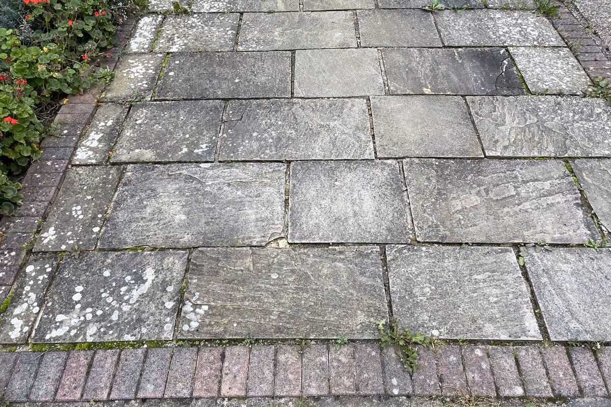 Sandstone flags along a path, heavily stained with grey and black organic growth, with a brick edging strip and weeds at the kerb